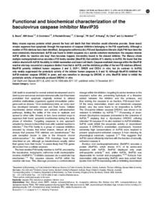 Functional and biochemical characterization of the baculovirus caspase inhibitor MaviP35