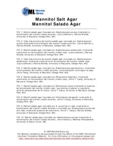 Microsoft Word - mannitol_salt_agar_spanish.doc