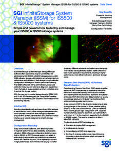 SGI InfiniteStorage™ System Manager (ISSM) for IS5500 & IS5000 systems Data Sheet ® SGI InfiniteStorage System Manager (ISSM) for IS5500 & IS5000 systems