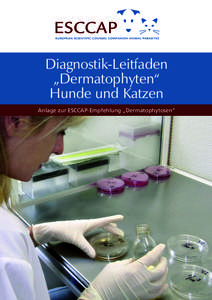 Diagnostik-Leitfaden „Dermatophyten“ Hunde und Katzen Anlage zur ESCCAP-Empfehlung „Dermatophytosen“  Diagnostik-Leitfaden