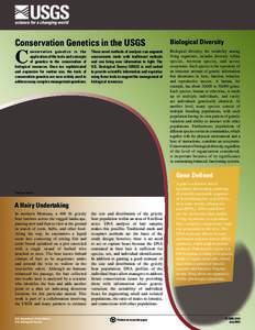 Conservation Genetics in the USGS  Biological Diversity onservation genetics is the application of the tools and concepts