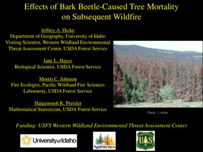 Effects of Bark Beetle-Caused Tree Mortality on Subsequent Wildfire Jeffrey A. Hicke Department of Geography, University of Idaho Visiting Scientist, Western Wildland Environmental Threat Assessment Center, USDA Forest S