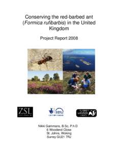 Conserving the red-barbed ant (Formica rufibarbis) in the United Kingdom Project ReportNikki Gammans, B.Sc, P.h.D