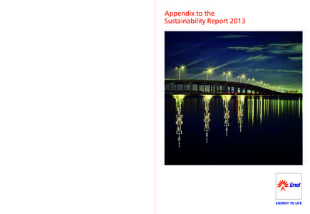Appendix to the Sustainability Report 2013 enel.com  Appendix to the