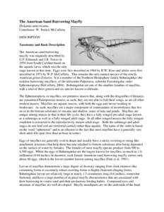 Entomology / Developmental biology / Mayflies / Ephemeridae / Insect wing / Imago / Aquatic insects / Nymph / Spawn / Zoology / Phyla / Protostome