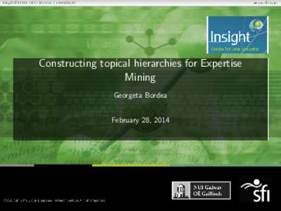 Constructing topical hierarchies for Expertise Mining Georgeta Bordea February 28, 2014  Introduction