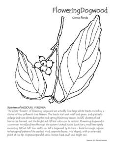 FloweringDogwood Cornus florida State tree of MISSOURI, VIRGINIA The white “flowers” of flowering dogwood are actually four large white bracts encircling a cluster of tiny yellowish true flowers. The bracts start out