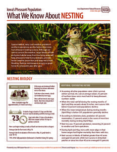 Iowa’s Pheasant Population  Iowa Department of Natural Resources What We Know About NESTING