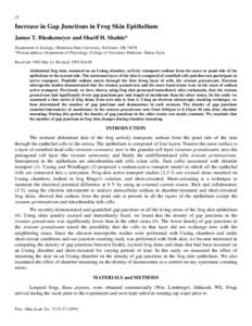 Increase in Gap Junctions in Frog Skin Epithelium