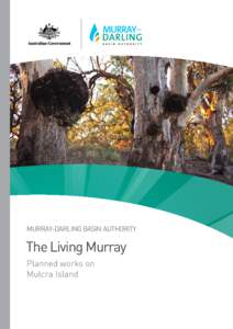 MURRAY-DARLING BASIN AUTHORITY  The Living Murray Planned works on Mulcra Island