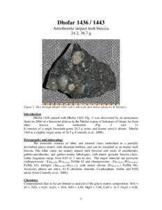 Dhofar[removed]Anorthositic impact melt breccia 24.2, 36.7 g Figure 1: Slice through Dhofar 1443 with 1 mm scale bars below (photo by R. Korotev).