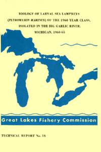 BIOLOGY OF LARVAL SEA LAMPREYS (PETROMYZON MARINUS) OF THE 1960 YEAR CLASS, ISOLATED IN THE BIG GARLIC RIVER, MICHIGAN, [removed]PATRICK J. MANION