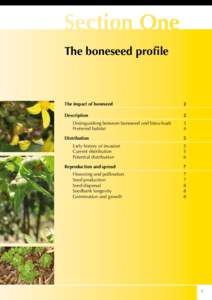 Section One The boneseed profile The impact of boneseed	  2