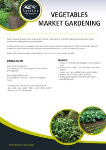 VEGETABLES MARKET GARDENING AgriSea seaweed products contain a vast range of minerals, trace elements, mannitols, alginates and natural plant growth hormones all suited to growing superb vegetables. A fertile productive 