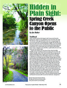 Hidden in Plain Sight: Spring Creek Canyon Opens to the Public by Joe Baker