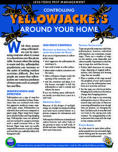 Less-Toxic Pest Management  controlling Yellowjackets around your home