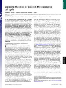 SPECIAL FEATURE  Exploring the roles of noise in the eukaryotic cell cycle Sandip Kara, William T. Baumannb, Mark R. Paulc, and John J. Tysona,1 Departments of aBiological Sciences, bElectrical and Computer Engineering, 