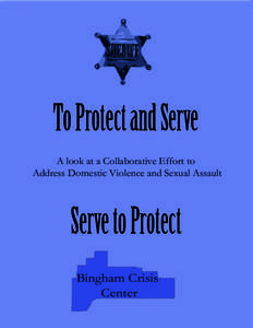 Ethics / Violence / Abuse / Rape / Violence Against Women Act / Domestic violence / Epidemiology of domestic violence / Sexual violence / Bingham / Violence against women / Gender-based violence / Feminism