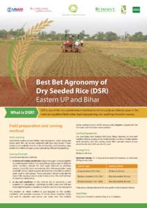 Best Bet Agronomy of Dry Seeded Rice (DSR) Eastern UP and Bihar What is DSR?  DSR is one of the rice establishment methods in which seeds are directly sown in the