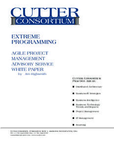 EXTREME PROGRAMMING AGILE PROJECT MANAGEMENT ADVISORY SERVICE WHITE PAPER
