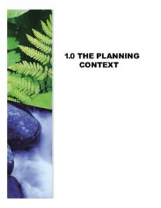 1.0 The Planning Context.indd