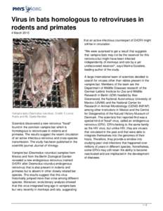 Virus in bats homologous to retroviruses in rodents and primates