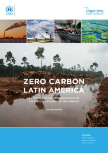ZERO CARBON LATIN AMERICA A PATHWAY FOR NET DECARBONISATION OF THE REGIONAL ECONOMY BY MID-CENTURY  VISION PAPER