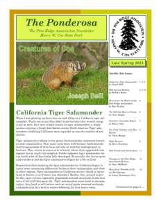 The Ponderosa The Pine Ridge Association Newsletter Henry W. Coe State Park Late Spring 2015 Inside this issue: