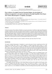 First evidence of cynipids from the Oceanian Region: the description of Lithonecrus papuanus a new genus and species of cynipid inquiline from Papua New Guinea (Hymenoptera: Cynipidae, Synergini)