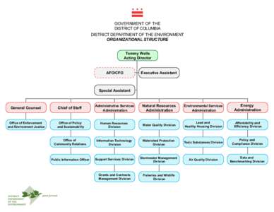 GOVERNMENT OF THE DISTRICT OF COLUMBIA DISTRICT DEPARTMENT OF THE ENVIRONMENT ORGANIZATIONAL STRUCTURE Tommy Wells Acting Director