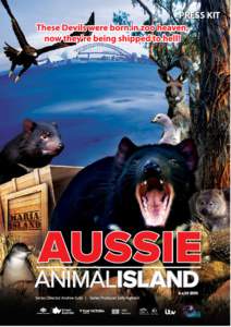 360_aussie_island_V05Final