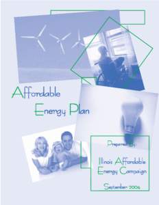 Affordable Energy Plan Prepared By: Illinois Affordable Energy Campaign