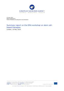 Microsoft Word - Summary report stem cell WS1.doc