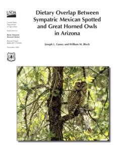 Scops owl / Strix / Red-tailed Hawk / Horned owl / Owls / Neognathae / Spotted Owl