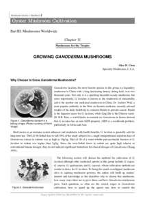 Microsoft Wordchapter-11-growing ganoderma.doc