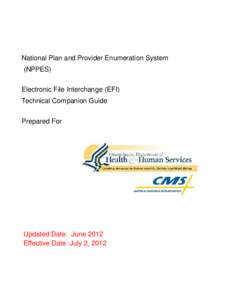 National Plan and Provider Enumeration System (NPPES) Electronic File Interchange (EFI) Technical Companion Guide Prepared For