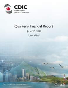 CDIC Quarterly Narrative Discussion: Proposed Structure