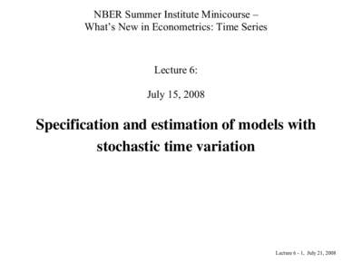 Microsoft Word - nber_2008_Lecture6_TVP_Slides_July21