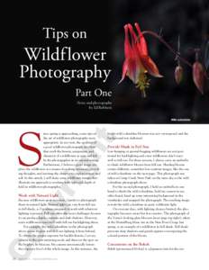 V  Wildf lower Photography  DN