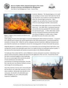 Wildfires / Flora of the United States / Occupational safety and health / Land management / Juniperus virginiana / Firefighter / Controlled burn / Fire / Systems ecology / Ecological succession