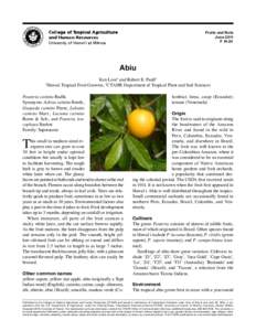 Pouteria caimito / Fruit tree / Pouteria / Ziziphus mauritiana / Sapotaceae / Manilkara zapota / Ford / Flora / Agriculture / Biogeography