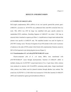 Chapter 4  RESULTS AND DISCUSSION 4.1 CLONING OF OsRGLP1 cDNA Full length complementary DNA (cDNA) of rice root specific germin-like protein gene1