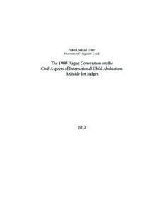 Hague Litigation Guide (format)