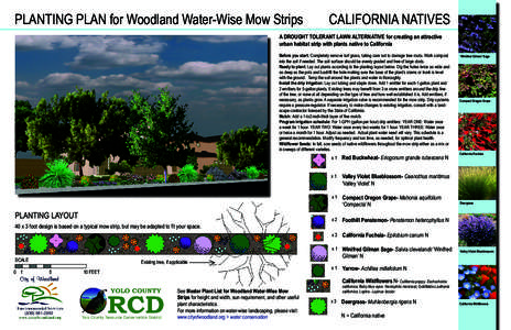 PLANTING PLAN for Woodland Water-Wise Mow Strips  CALIFORNIA NATIVES A DROUGHT TOLERANT LAWN ALTERNATIVE for creating an attractive urban habitat strip with plants native to California