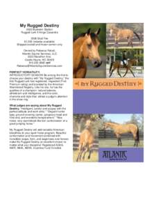 Livestock / Rugged Lark / American Quarter Horse Association / Warmblood / American Quarter Horse / Sport horse / King / Show hunter / Breeding / American Quarter Horses / Equus