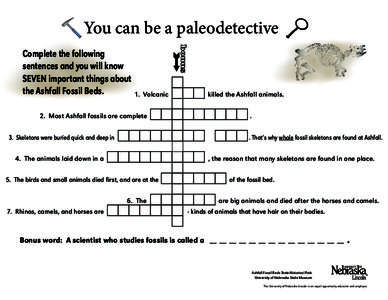 You can be a paleodetective Complete the following sentences and you will know SEVEN important things about the Ashfall Fossil Beds.