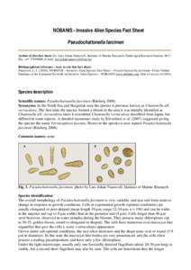 Alien Invasive Species Profile (factsheet)