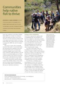 Communities help native ﬁsh to thrive JOHN KOEHN AND MARK LINTERMANS HIGHLIGHT THE DECLINE IN NATIVE FISH NUMBERS IN THE MURRAY–DARLING BASIN AND HOW THE NATIVE