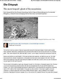 The snow leopard: ghost of the mountains - Telegraph  1 of 7