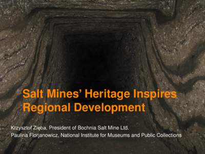 Salt Mines’ Heritage Inspires Regional Development Krzysztof Zięba, President of Bochnia Salt Mine Ltd. Paulina Florjanowicz, National Institute for Museums and Public Collections  Wieliczka and Bochnia